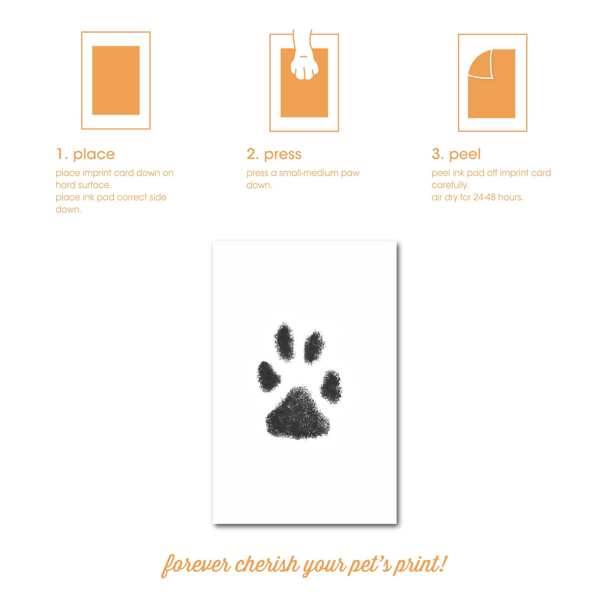 Pearhead Letters From Your Pet Gift Set, Includes Pet Clean-Touch Ink Pad, Holiday Cards And Envelopes, Pet Owner